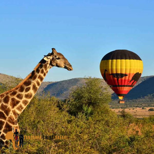 Miracle Experience Serengeti Balloon Safaris 