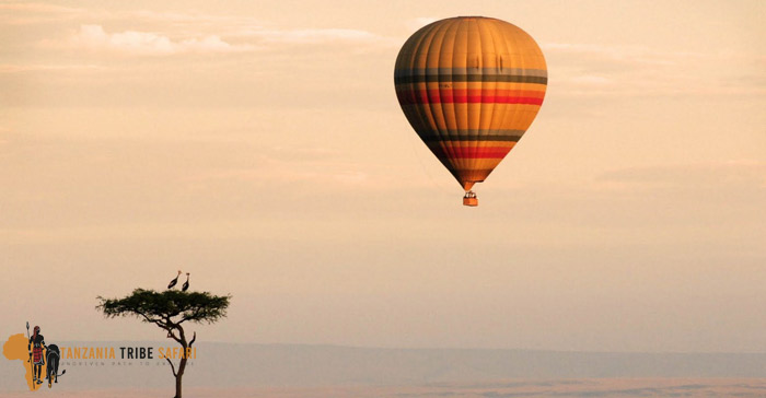 Miracle Experience Serengeti Balloon Safaris